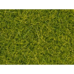 HIERBAS DE PRADERA 4 MM. -...