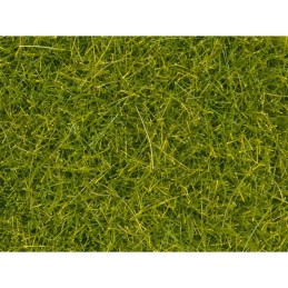 HIERBAS DE PRADERA 4 MM. -...