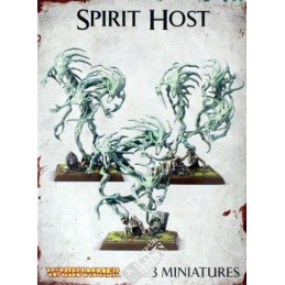 SPIRIT HOST (3)