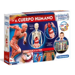 EL CUERPO HUMANO