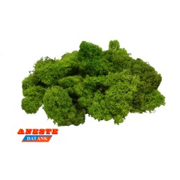 MUSGO ISLAMOND VERDE CLARO