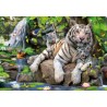 TIGRES BLANCOS DE BENGALA