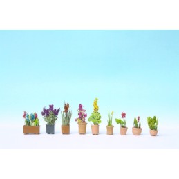 PLANTAS ORNAMENTALES EN...