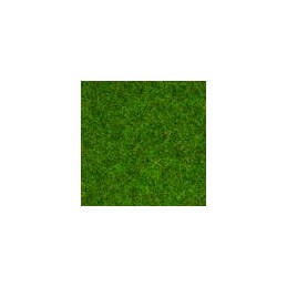 HIERBAS DE CÉSPED 2.5MM. -...