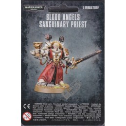BLOOD ANGELS SANGUINARY PRIEST