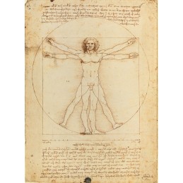 LEONARDO DA VINCI - HOMBRE...