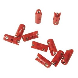 CLAVIJAS ROJAS (10)