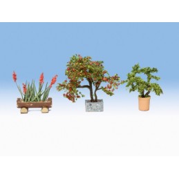 PLANTAS ORNAMENTALES EN...