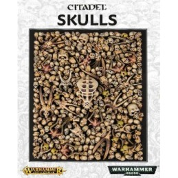 CITADEL SKULLS