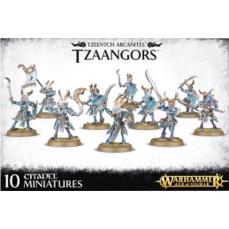 TZEENTCH ARCANITES TZAANGORS