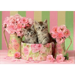 GATITOS CON ROSAS