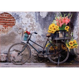 BICICLETA CON FLORES