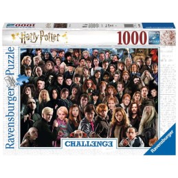 1000 HARRY POTTER CHALLENGE