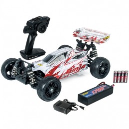 1:10 NINJA 4WD X10 2.4GHZ...