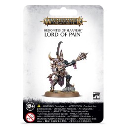 HEDONITES OF SLAANESH: LORD...