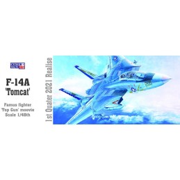1:48 F-14A TOMCAT TWO...