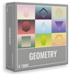 1000 GEOMETRY