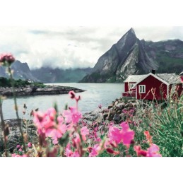 1000 LOFOTEN, NORUEGA