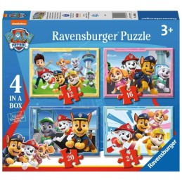 12/16/20/24 PAW PATROL