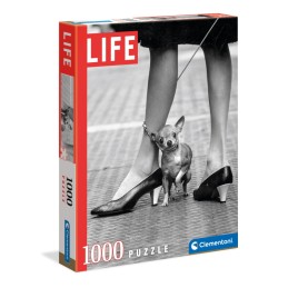 1000 CHIHUAUA - LIFE MAGAZINE