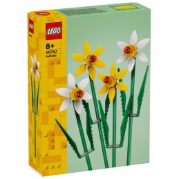 NARCISOS