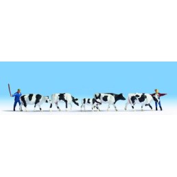 CONDUCIENDO VACAS (2...