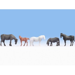 CABALLOS