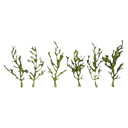 PLANTA TREPADORA
