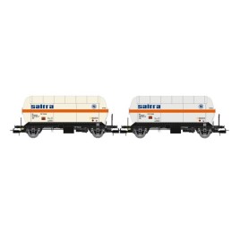 RENFE SET 2 VAGONES...