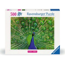 500 PAVO REAL