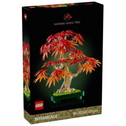 BONSÁI DE ARCE ROJO JAPONÉS