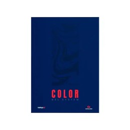 COLOR - BSL SYSTEM