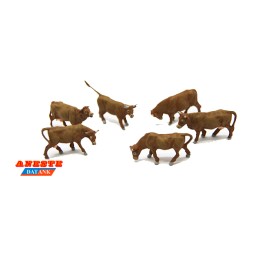 VACAS CANELA