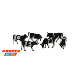 VACAS NEGRAS