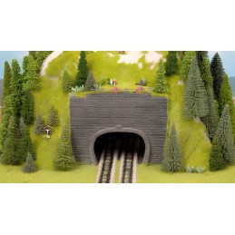 BOCA DE TÚNEL DOBLE VÍA  14...