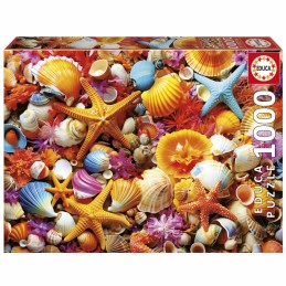 1000 COLLAGE DE CONCHAS