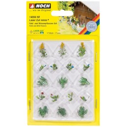 FLORES Y PLANTAS DE CAMPO...