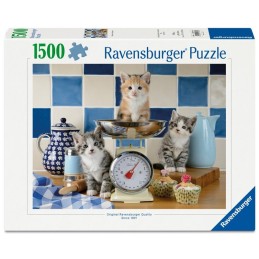 1500 GATITOS EN LA COCINA