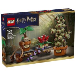 HOGWARTS: PLANTAS DE...